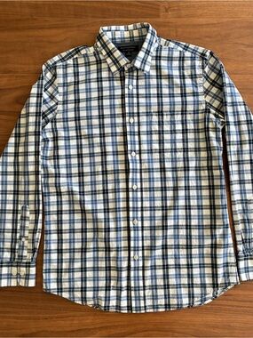 Banana Republic Navy and White Plaid Button-Down Shirt